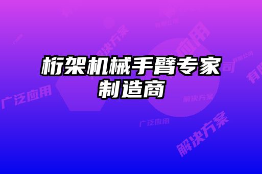 桁架機(jī)械手臂專家制造商