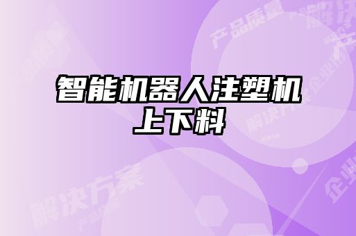 智能機(jī)器人注塑機(jī)上下料
