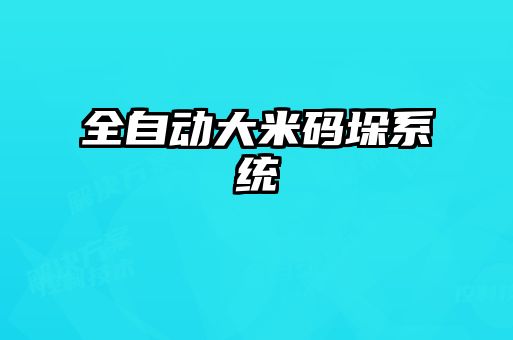 全自動(dòng)大米碼垛系統(tǒng)