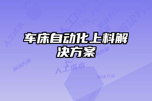車床自動(dòng)化上料解決方案