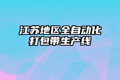 江蘇地區(qū)全自動化打包帶生產線
