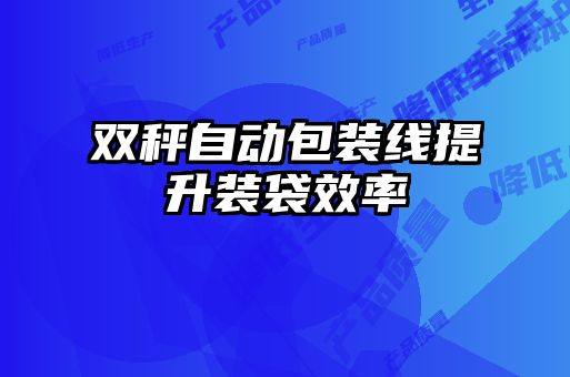 雙秤自動(dòng)包裝線提升裝袋效率