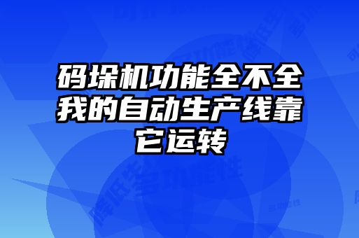 碼垛機(jī)功能全不全我的自動(dòng)生產(chǎn)線靠它運(yùn)轉(zhuǎn)