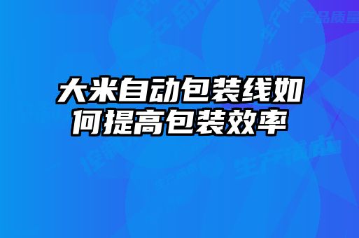 大米自動包裝線如何提高包裝效率