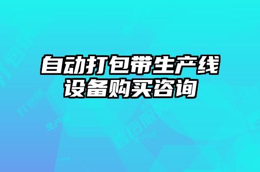 自動打包帶生產(chǎn)線設備購買咨詢