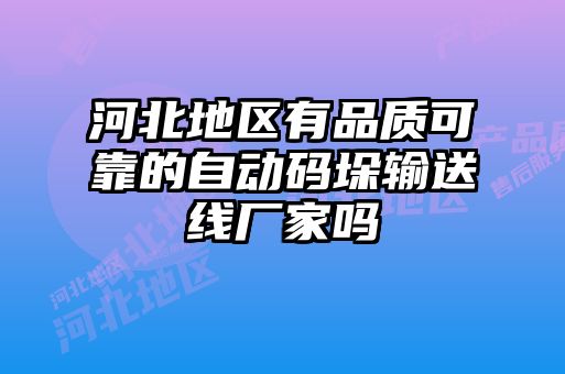 河北地區(qū)有品質可靠的自動碼垛輸送線廠家嗎