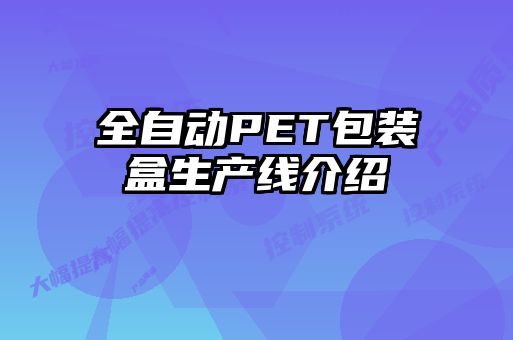 全自動PET包裝盒生產(chǎn)線介紹