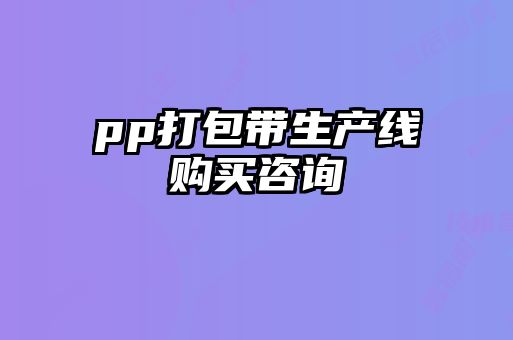 pp打包帶生產(chǎn)線購買咨詢